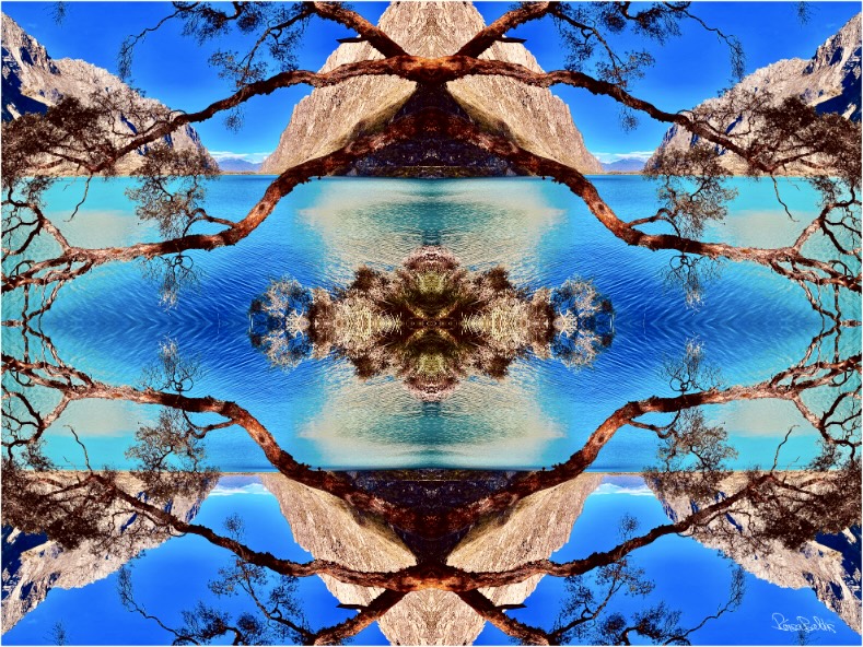 24 (1)